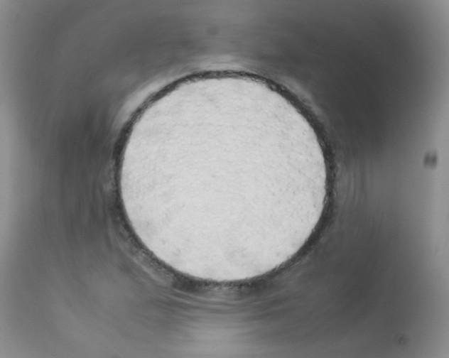 X0000113091167200910091250