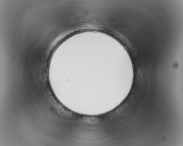 X0000113091168200910091250