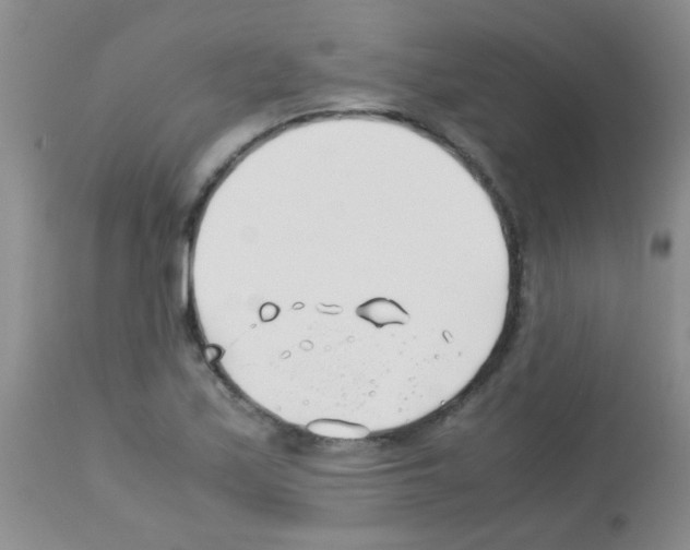 X0000113091171200910091250
