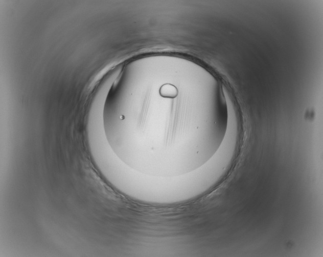 X0000113091173200910091250