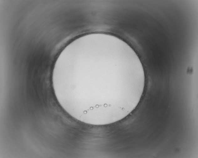 X0000113091174200910091249