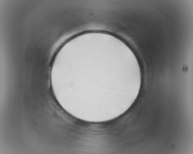 X0000113091175200910091249