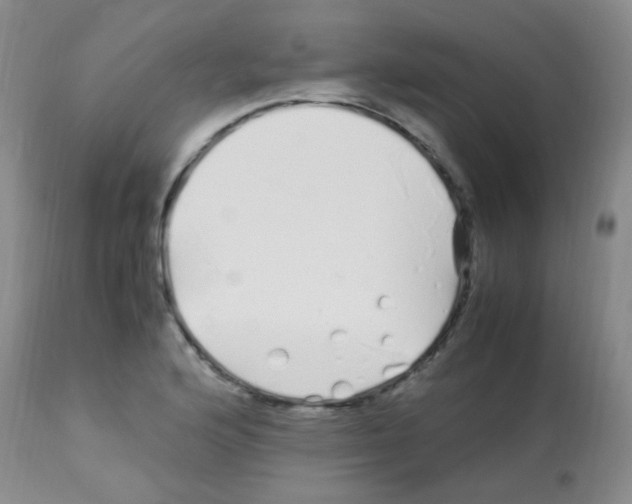 X0000113091176200910091249