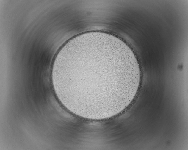 X0000113091178200910091249