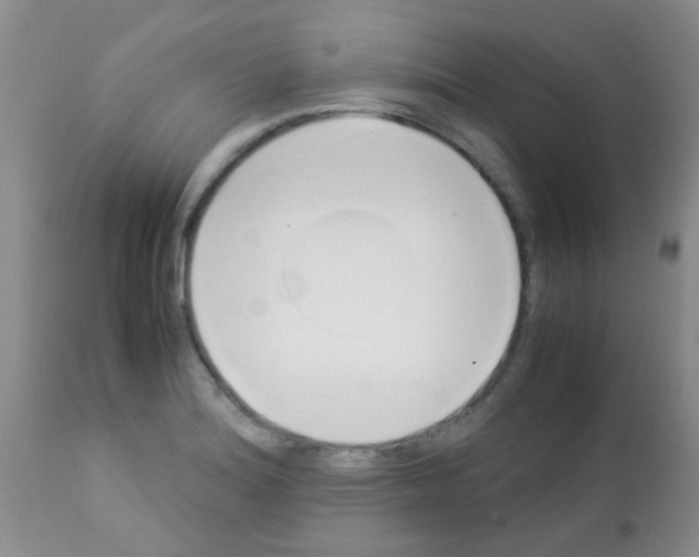 X0000113091180200910091249