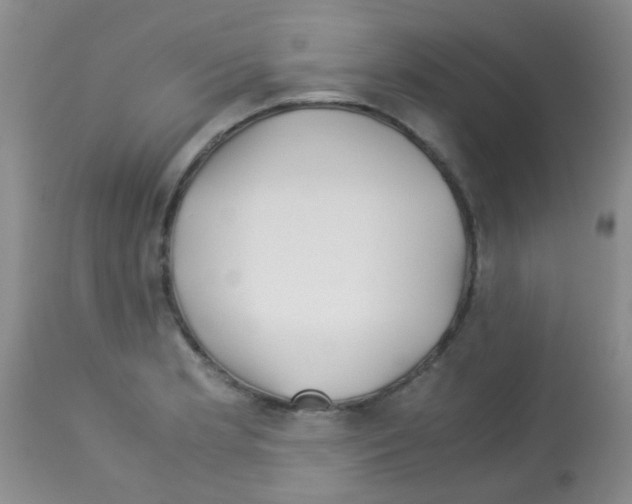 X0000113091181200910091249