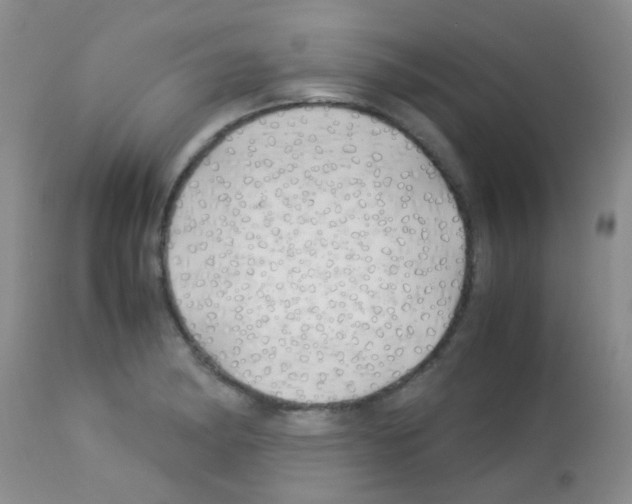 X0000113091182200910091249