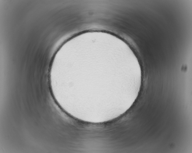 X0000113091183200910091249