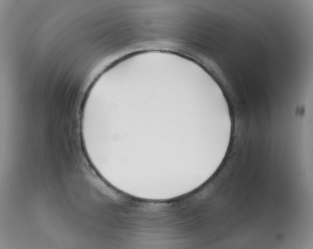 X0000113091184200910091249