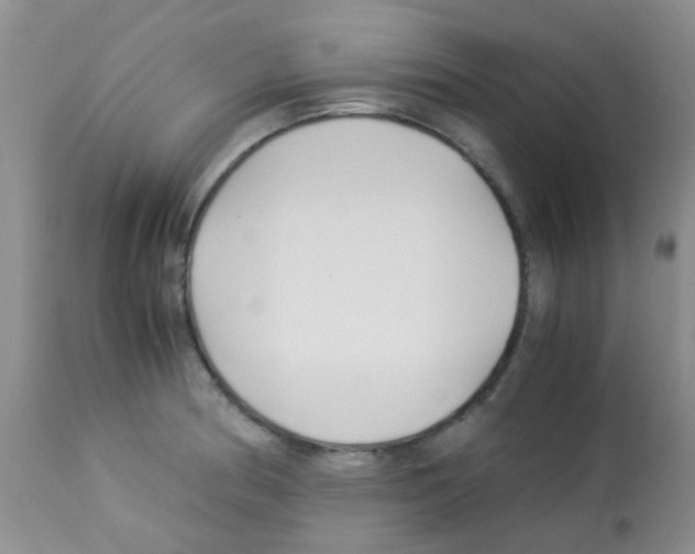 X0000113091186200910091249