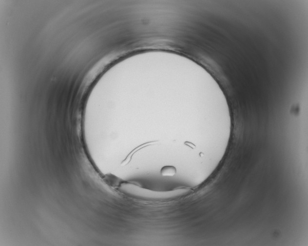 X0000113091188200910091249
