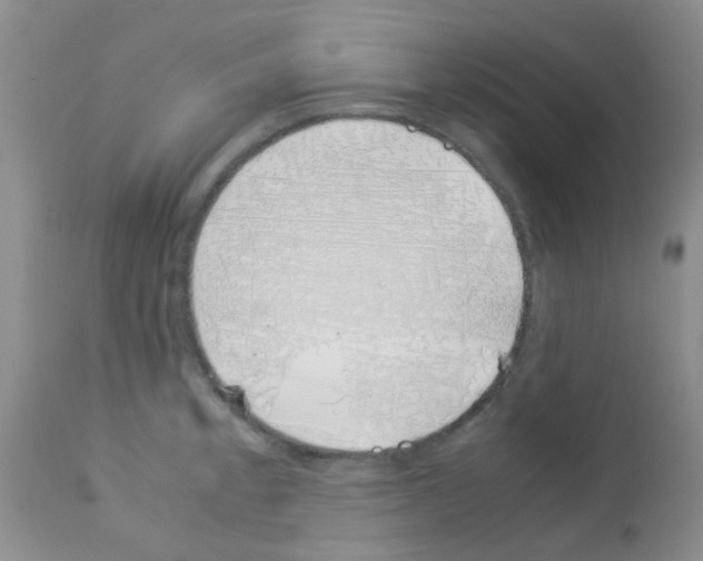 X0000113091189200910091249