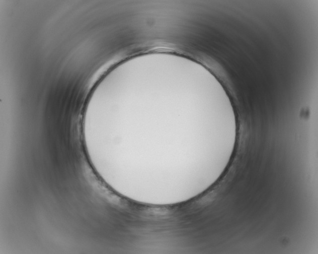 X0000113091190200910091249