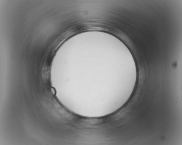 X0000113091193200910091249