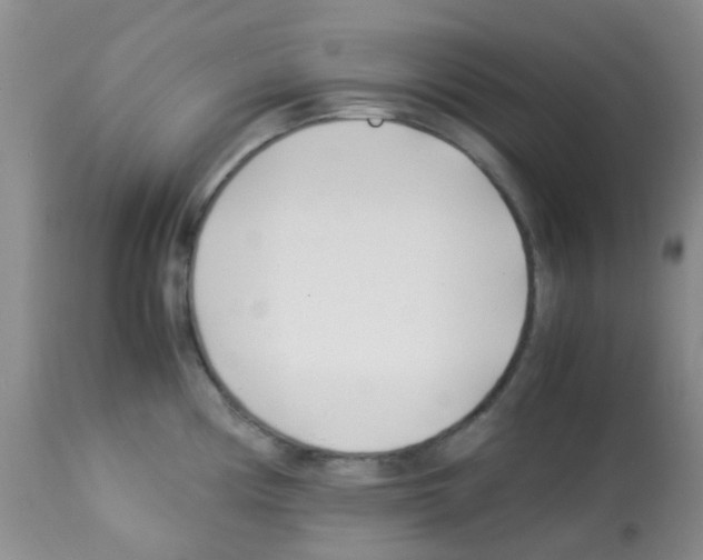 X0000113091194200910091249