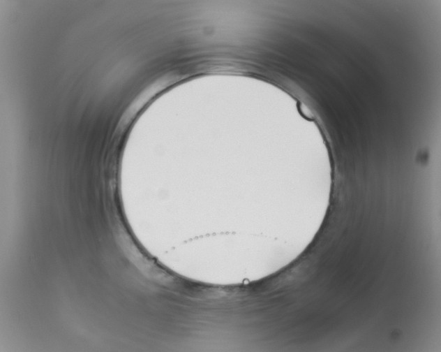 X0000113091195200910091249