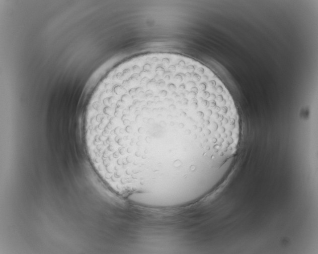 X0000113091196200910091249