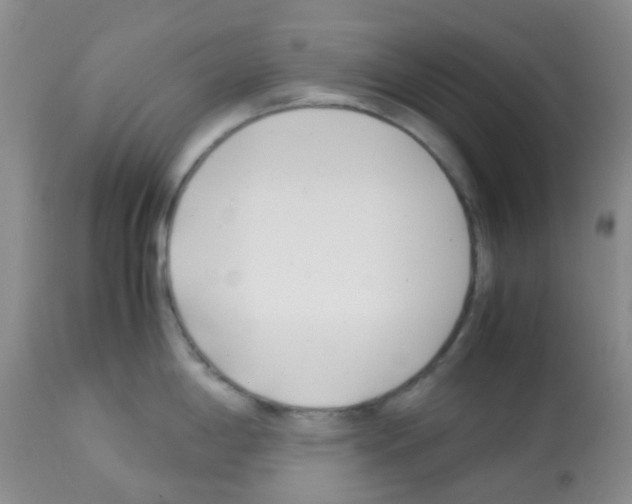 X0000113091198200910091249