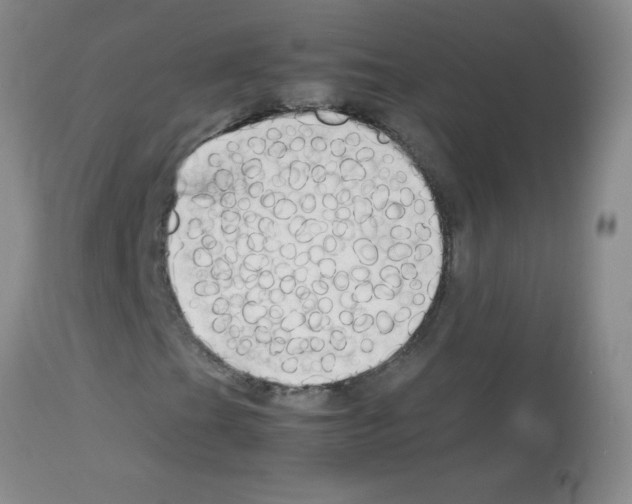 X0000113091201200910091248