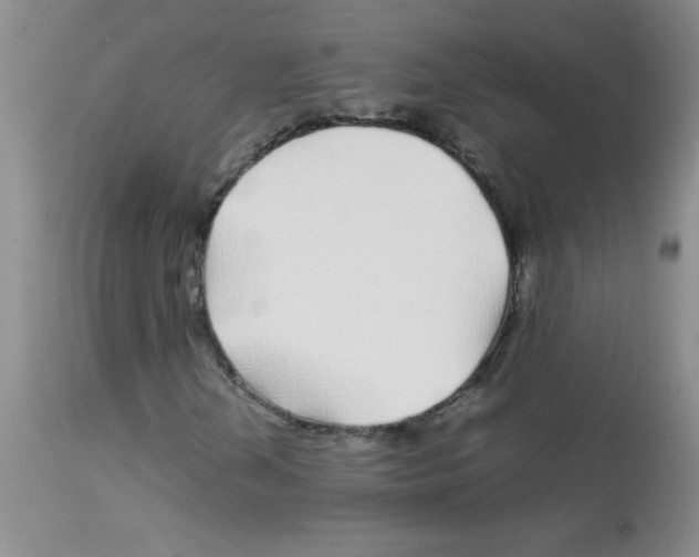 X0000113091202200910091248