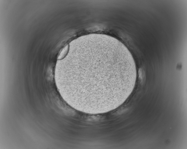 X0000113091203200910091248
