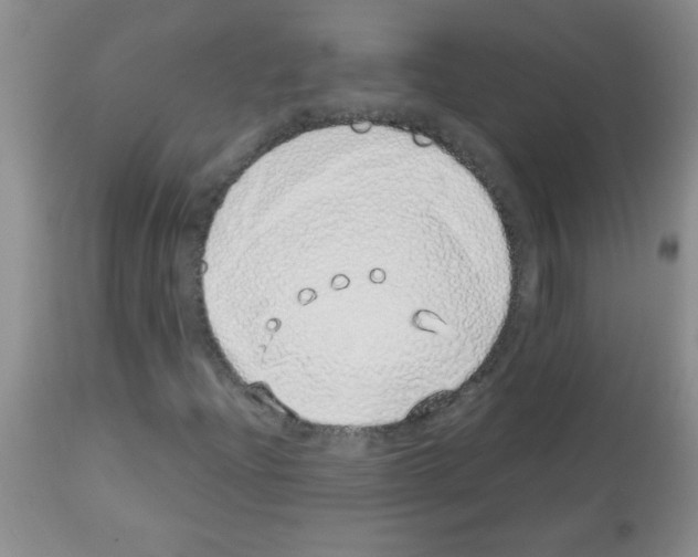 X0000113091204200910091248