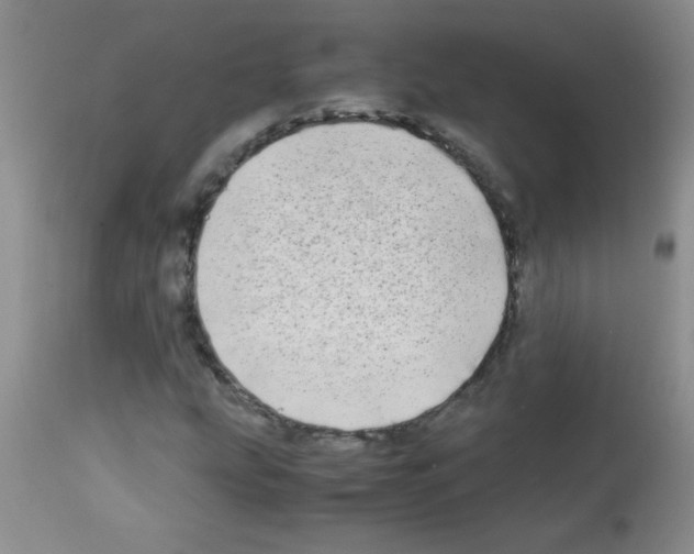 X0000113091207200910091248