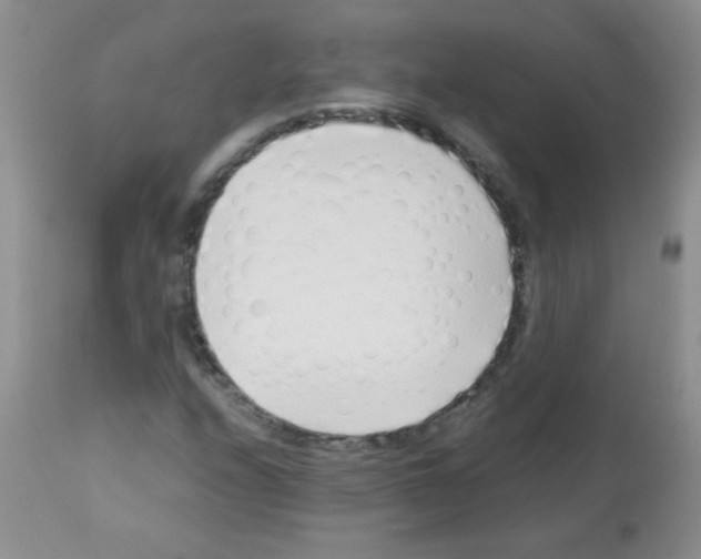X0000113091208200910091249