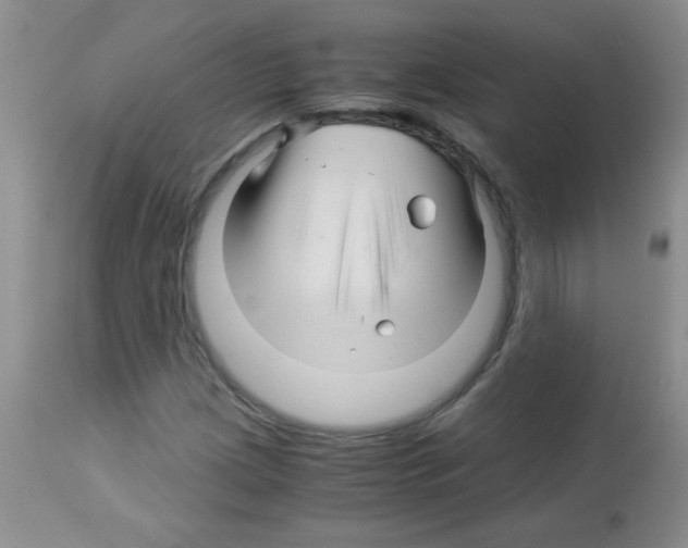 X0000113091209200910091249