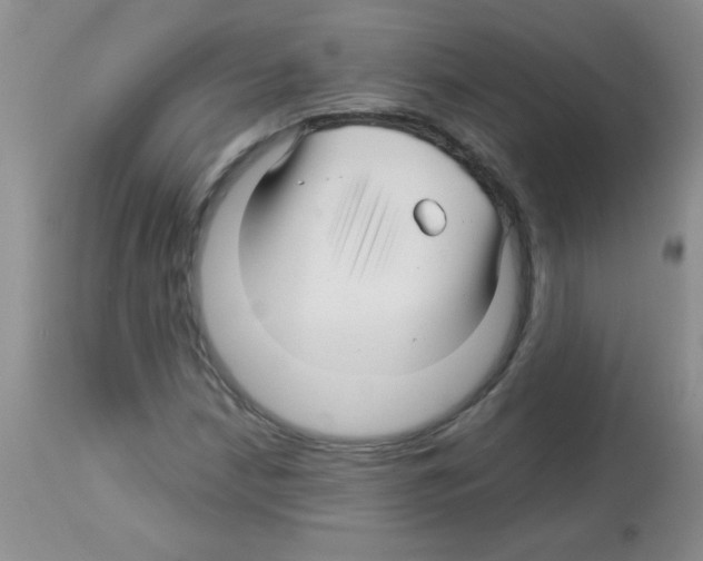 X0000113091210200910091249