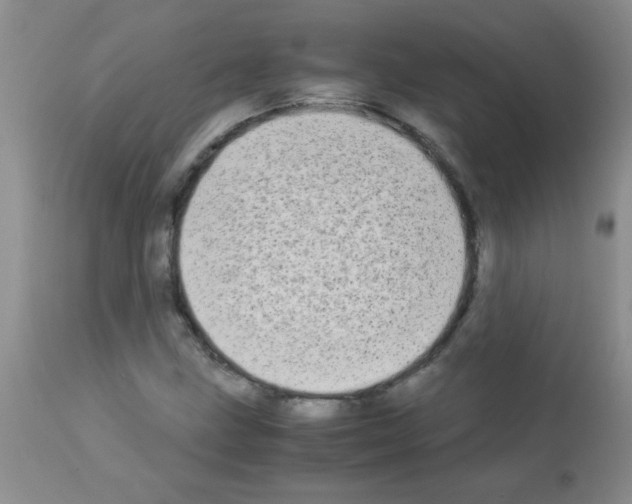 X0000113091211200910091249