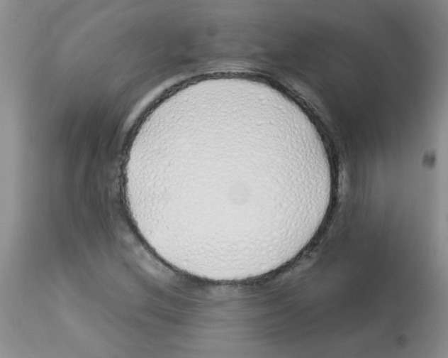 X0000113091212200910091249