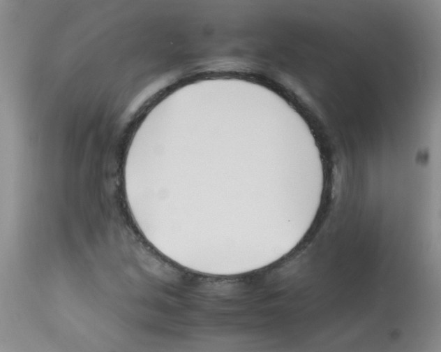 X0000113091213200910091249