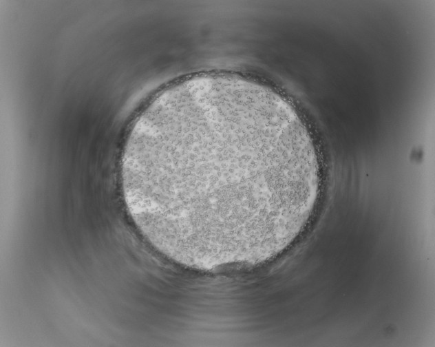 X0000113091214200910091249