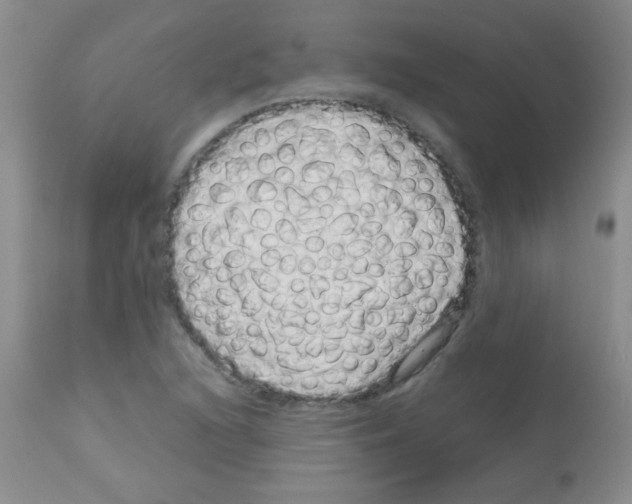 X0000113091216200910091249