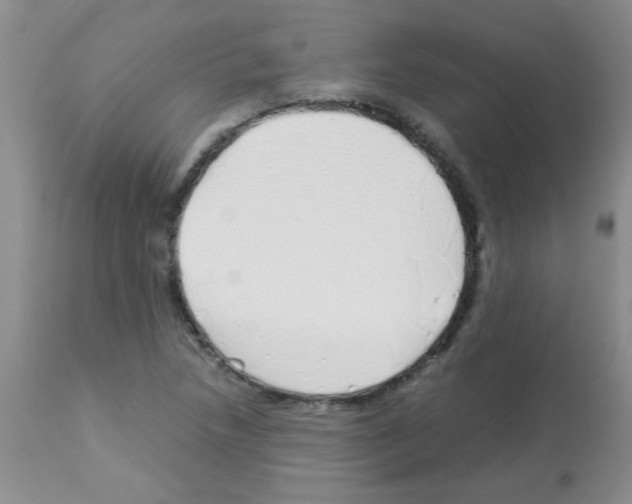 X0000113091218200910091249