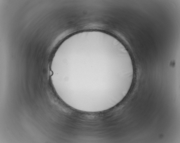 X0000113091219200910091249