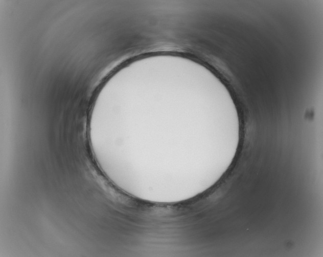 X0000113091220200910091249