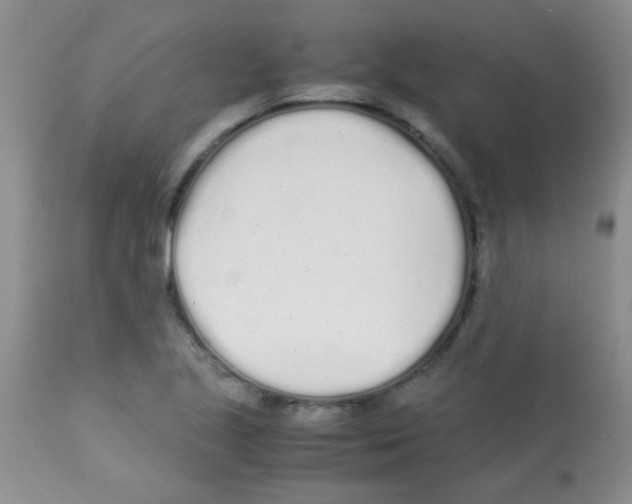 X0000113091221200910091249