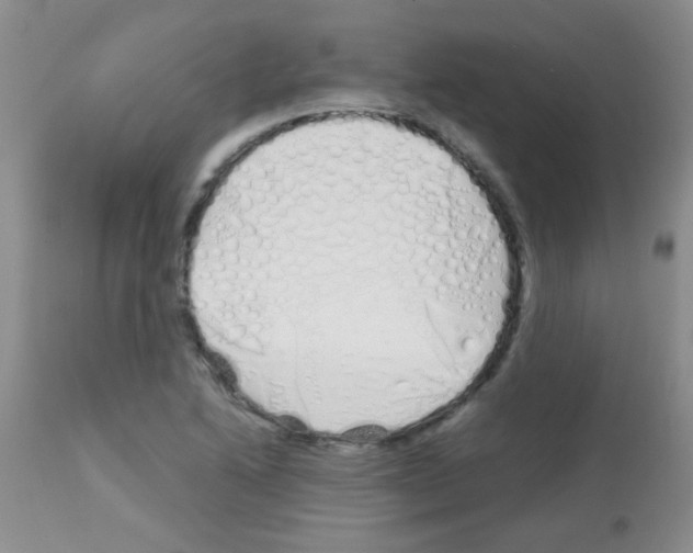 X0000113091222200910091249
