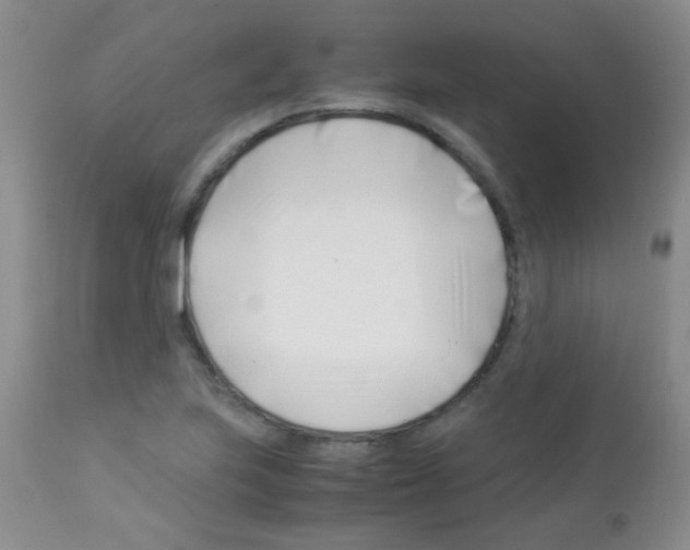 X0000113091223200910091249