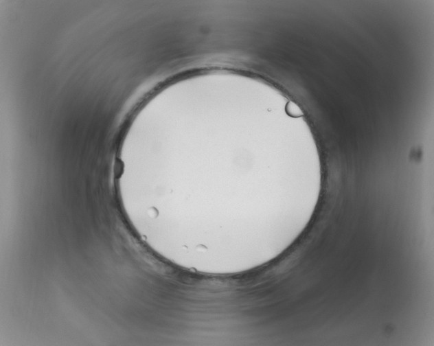 X0000113091224200910091249
