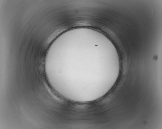 X0000113091225200910091249