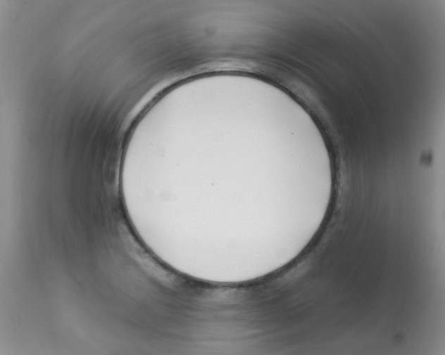 X0000113091228200910091249