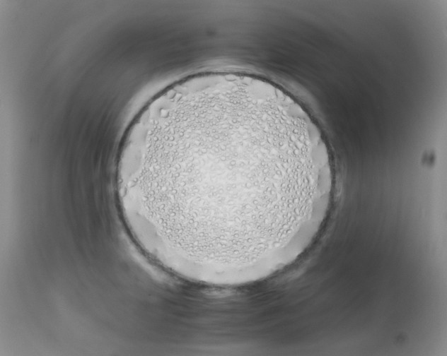 X0000113091231200910091249