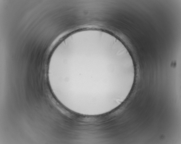 X0000113091232200910091249