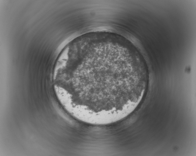 X0000113091234200910091249