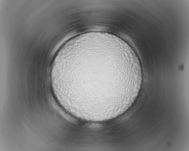 X0000113091235200910091249
