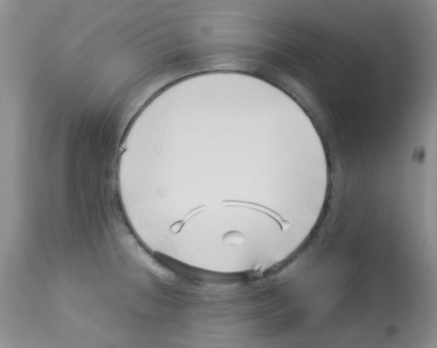 X0000113091236200910091249