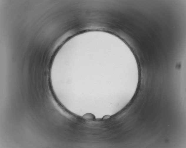 X0000113091237200910091249
